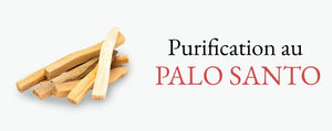 Le Palo Santo  Propriétés, Bienfaits et Purification – La Bougie Herbivore